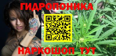 амф Пенза