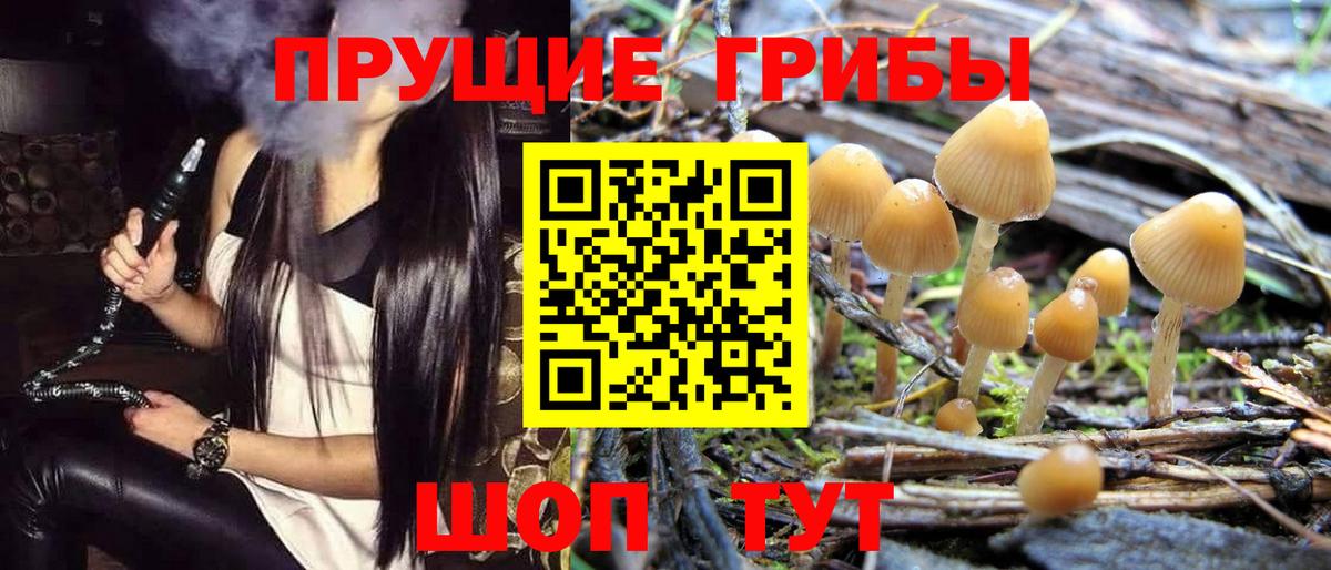 Галлюциногенные грибы MAGIC MUSHROOMS Новозыбков
