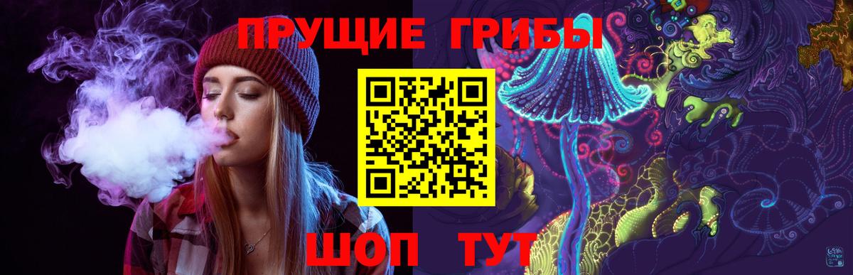 закладка  Псилоцибиновые грибы мухоморы  Вход с VPN  Новозыбков 